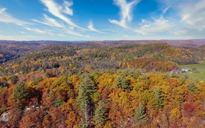 Transfert territorial