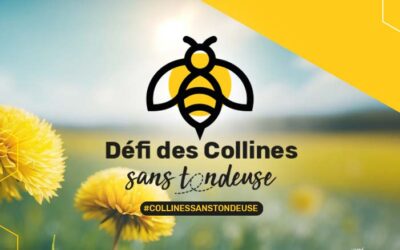 Défi des Collines sans tondeuse!