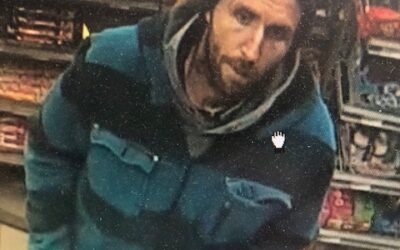 VOL DANS VÉHICULE ET FRAUDE | SUSPECT À IDENTIFIER