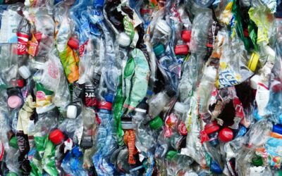 Bannissement des plastiques à usage unique