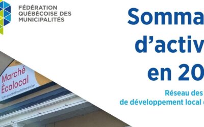 𝗦𝗼𝗺𝗺𝗮𝗶𝗿𝗲 𝗱𝗲𝘀 𝗮𝗰𝘁𝗶𝘃𝗶𝘁𝗲́𝘀 𝟮𝟬𝟮𝟰 – 𝗗𝗲́𝘃𝗲𝗹𝗼𝗽𝗽𝗲𝗺𝗲𝗻𝘁 𝗹𝗼𝗰𝗮𝗹 (𝗙𝗤𝗠)