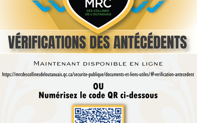 VÉRIFICATION DES ANTÉCÉDENTS JUDICIAIRES | ÊTES-VOUS ADMISSIBLE À FAIRE UNE DEMANDE EN LIGNE?